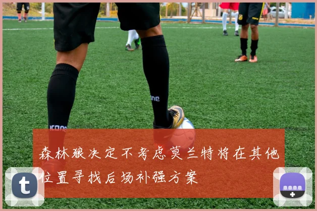 森林狼决定不考虑莫兰特将在其他位置寻找后场补强方案